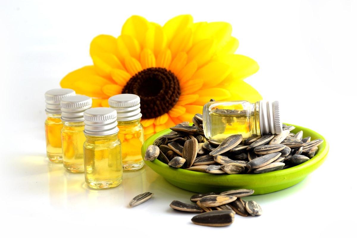 business plan sunflower oil