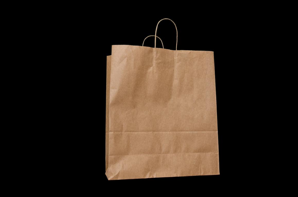 The Truth About Paper Bags  ReuseThisBagcom